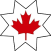 P.C.S.TECH logo